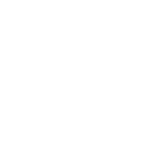 Custom Media