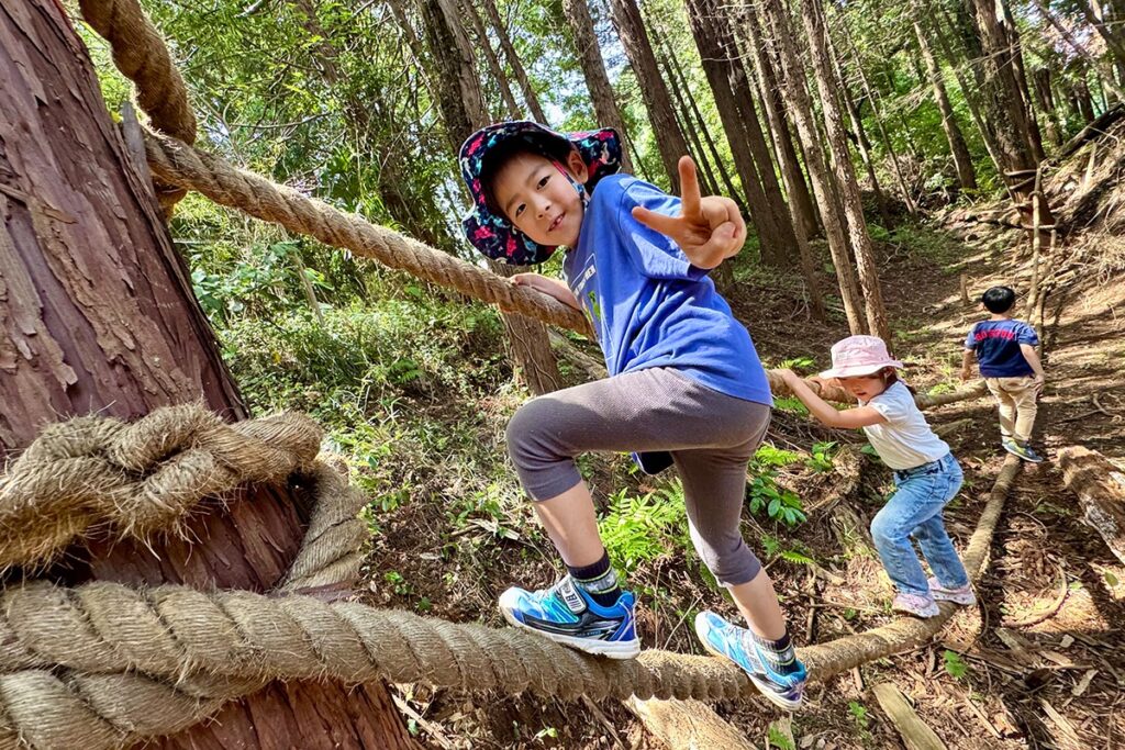 MEES International School boy doing acrobranch activity