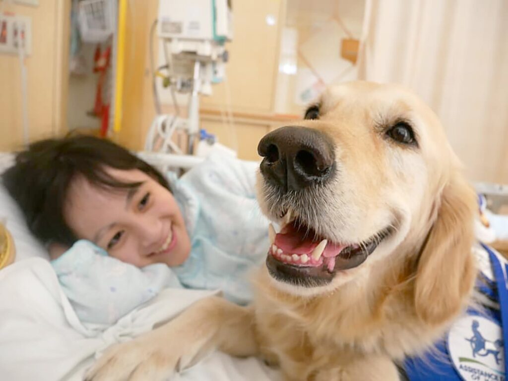 Shine On! Kids' groundbreaking Hospital Facility Dog program