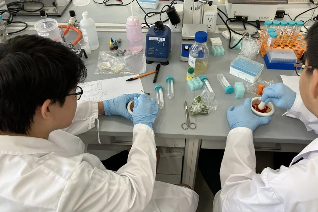 Laurus International School sciences