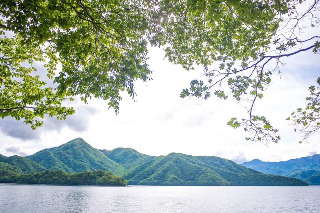 Scenic view of Lake Chuzenji