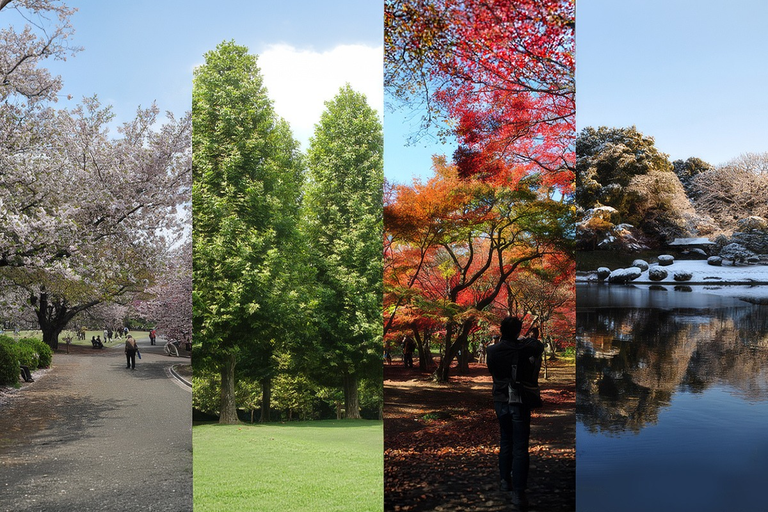 Tokyo's Shinjuku Gyoen in all seasons