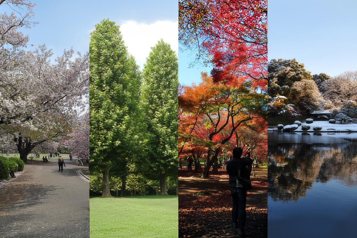 Tokyo's Shinjuku Gyoen in all seasons