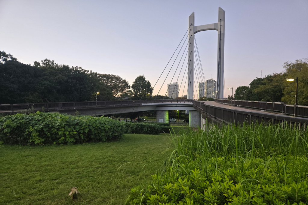 Kiba Park