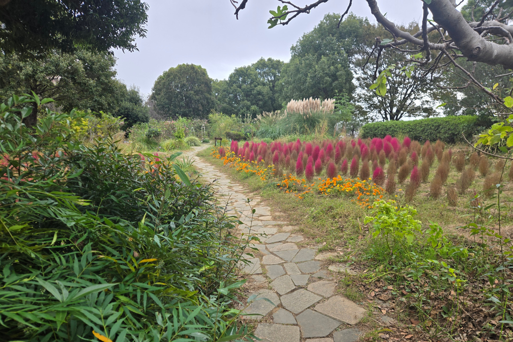 Ojima-Komatsugawa Park