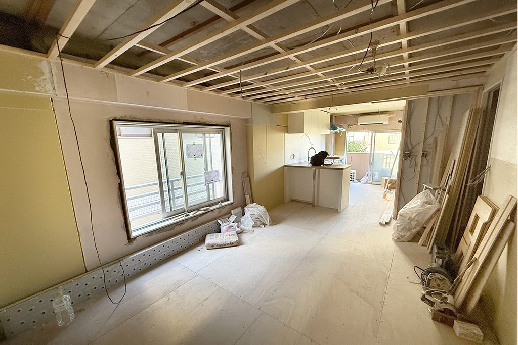 Interior Renovation